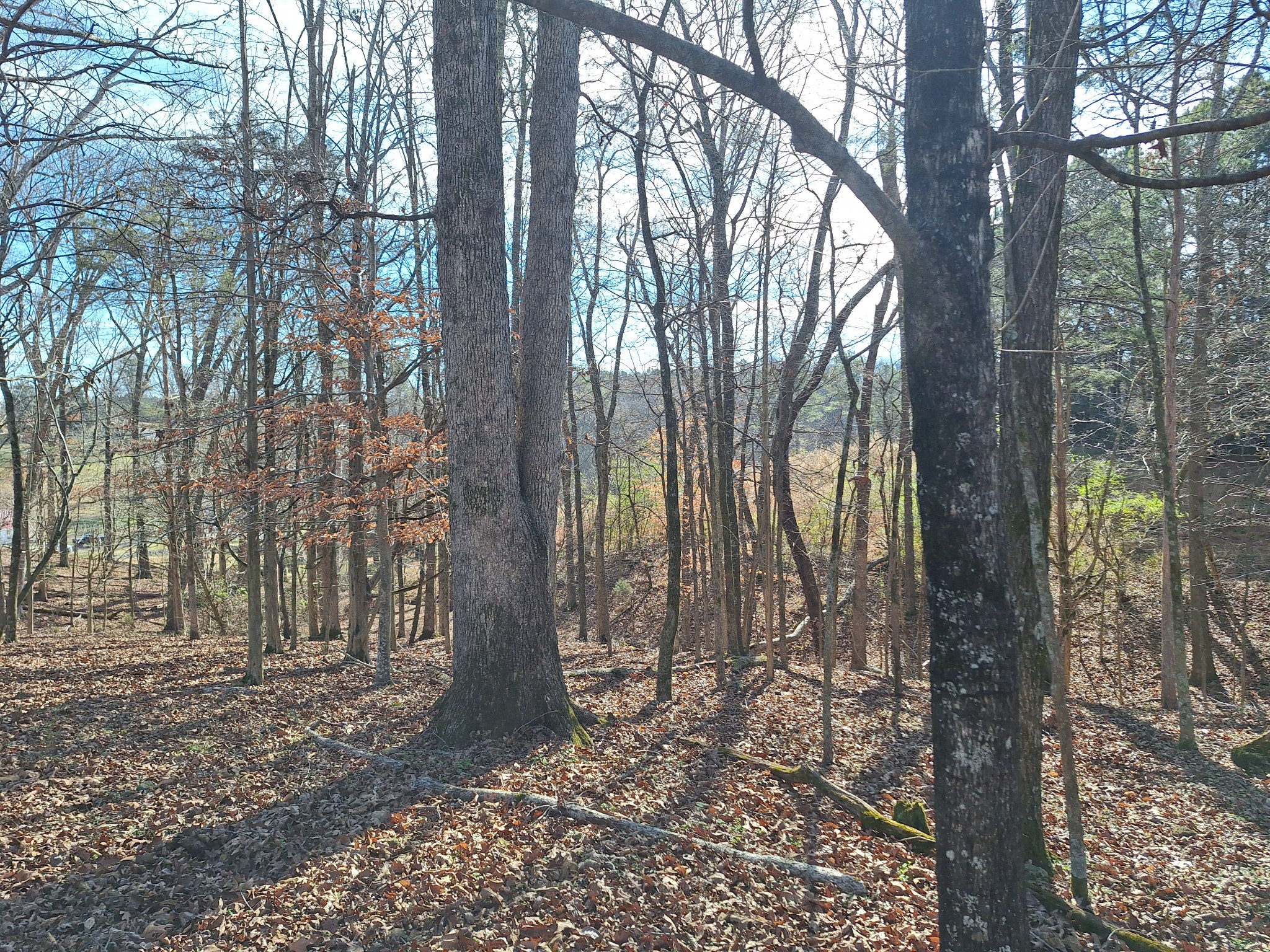 32 North Bradley Road Lawrenceburg, TN 38464 - Photo 61 of 93