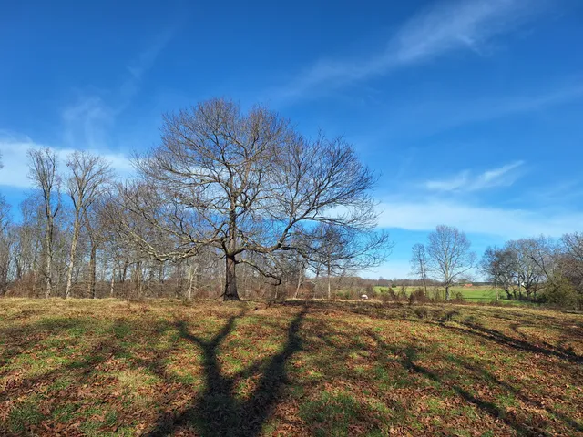 $435,000 | 32 North Bradley Road, Lawrenceburg, TN 38464