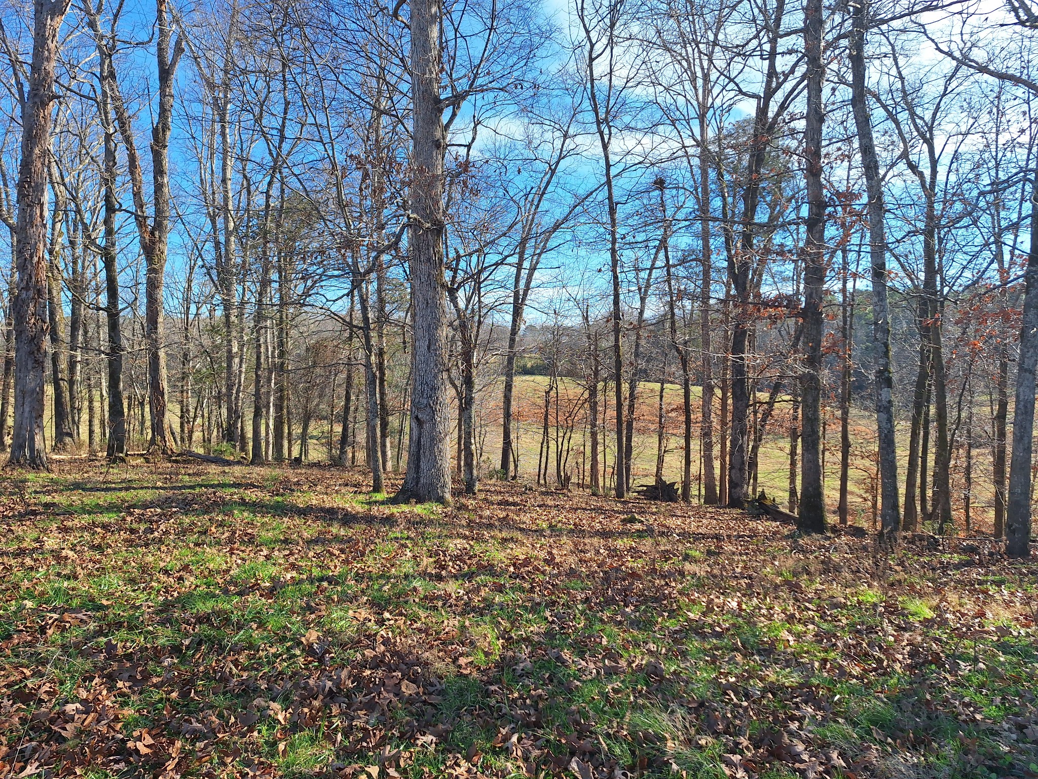 32 North Bradley Road Lawrenceburg, TN 38464 - Photo 64 of 93