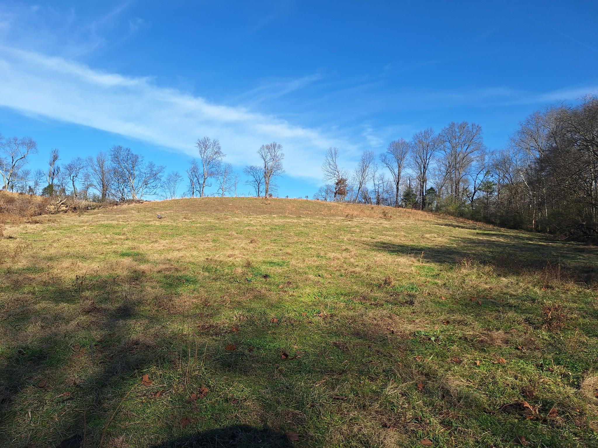 32 North Bradley Road Lawrenceburg, TN 38464 - Photo 71 of 93