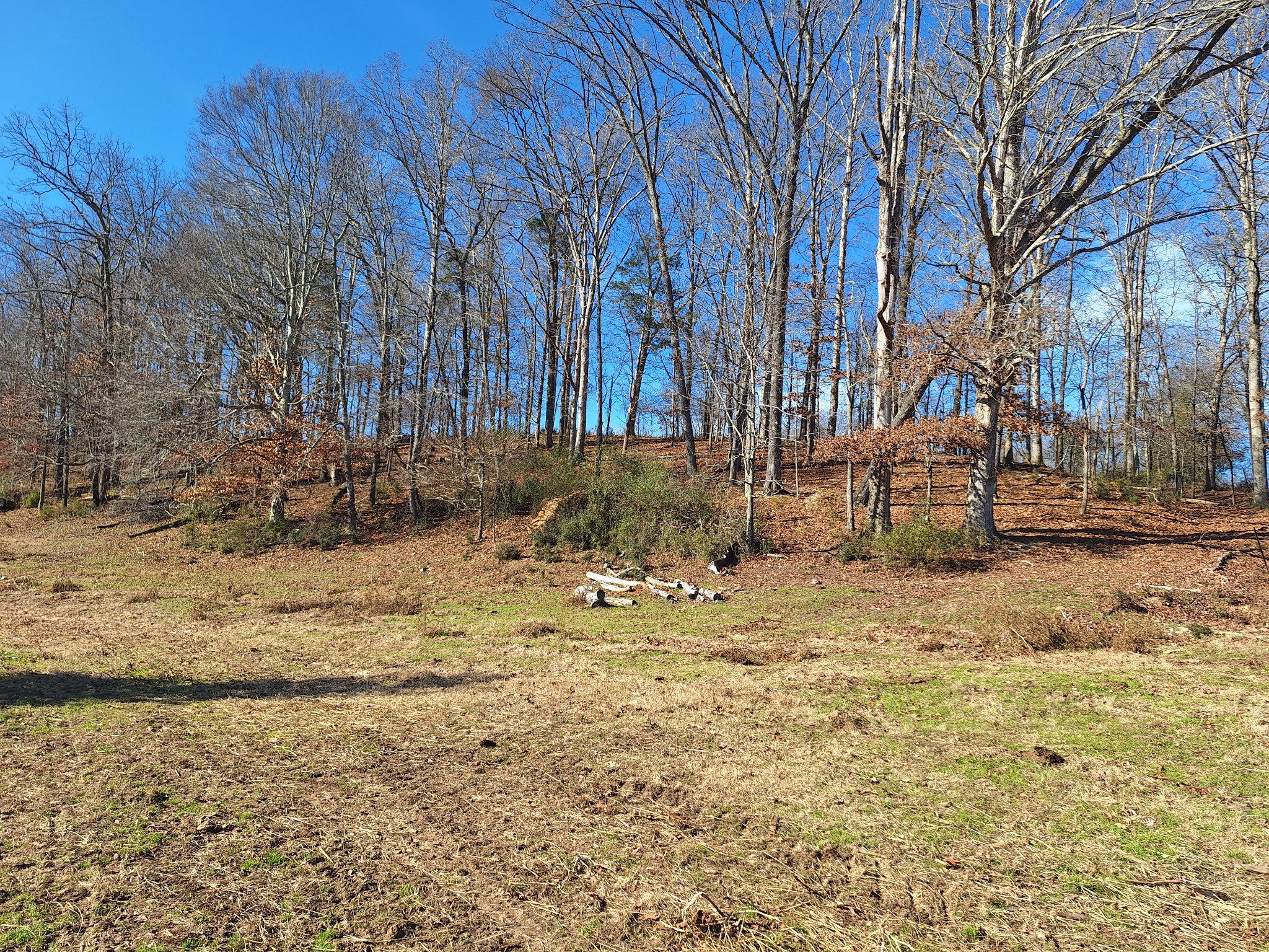 32 North Bradley Road Lawrenceburg, TN 38464 - Photo 74 of 93