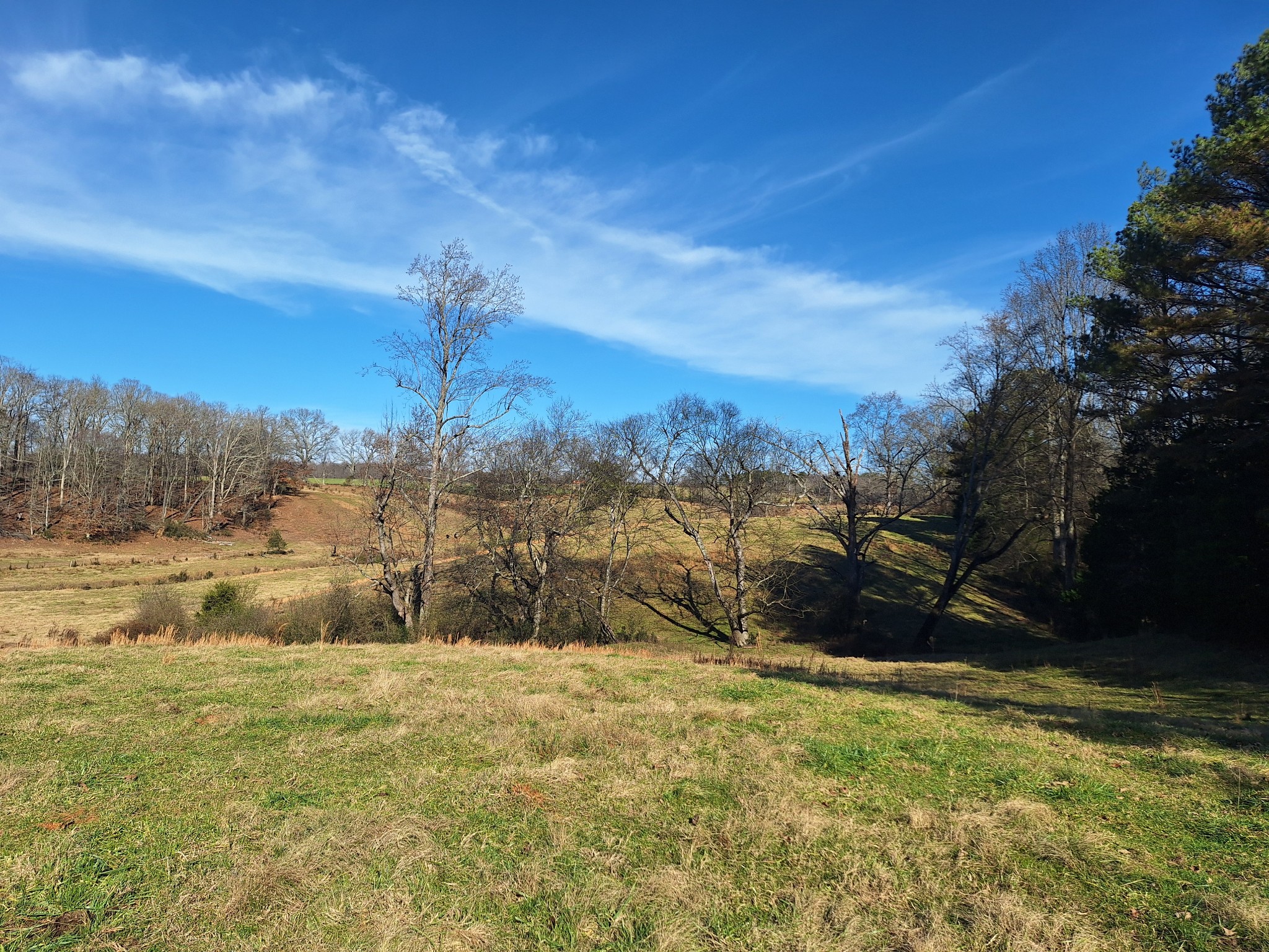 32 North Bradley Road Lawrenceburg, TN 38464 - Photo 77 of 93