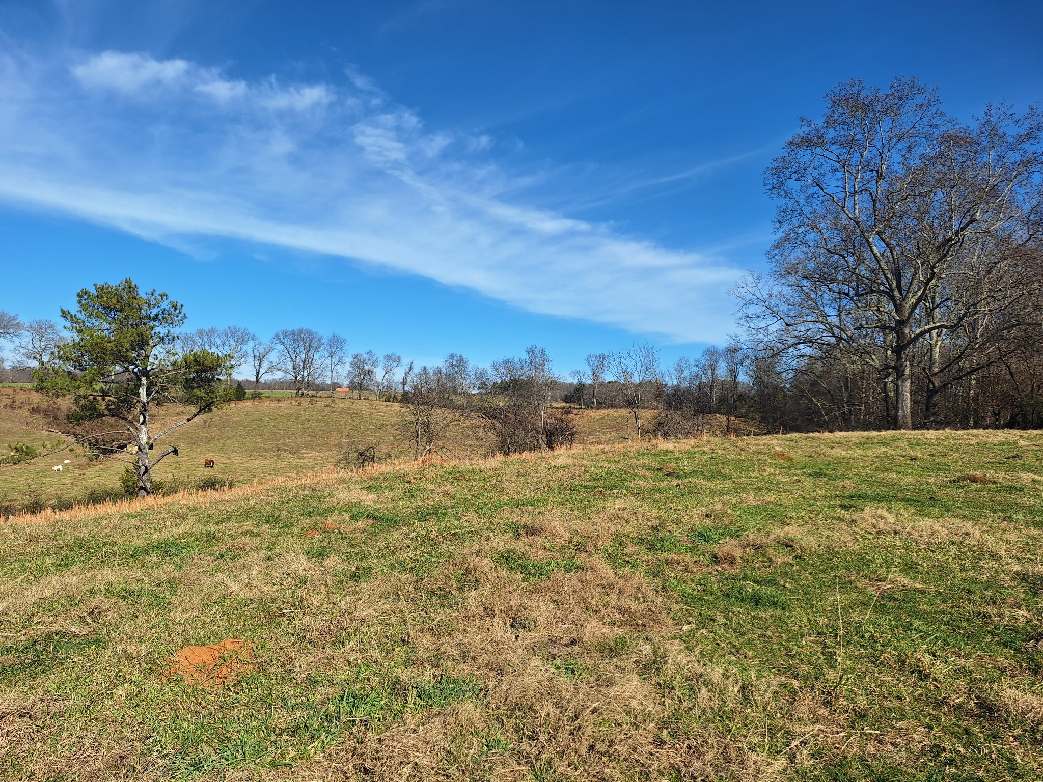 32 North Bradley Road Lawrenceburg, TN 38464 - Photo 84 of 93