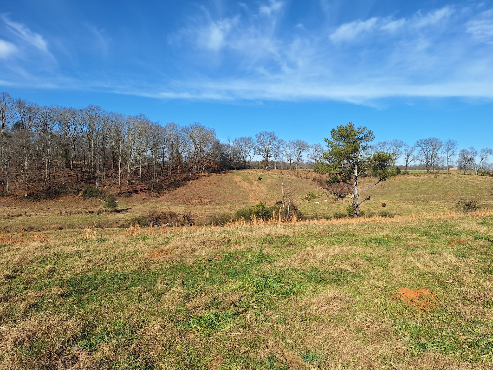 32 North Bradley Road Lawrenceburg, TN 38464 - Photo 85 of 93