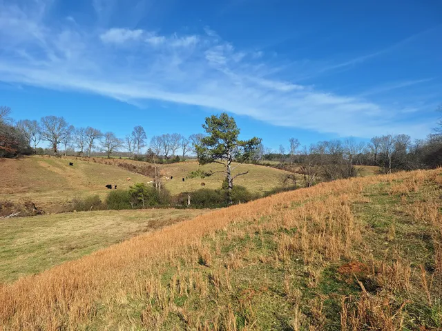 $435,000 | 32 North Bradley Road, Lawrenceburg, TN 38464
