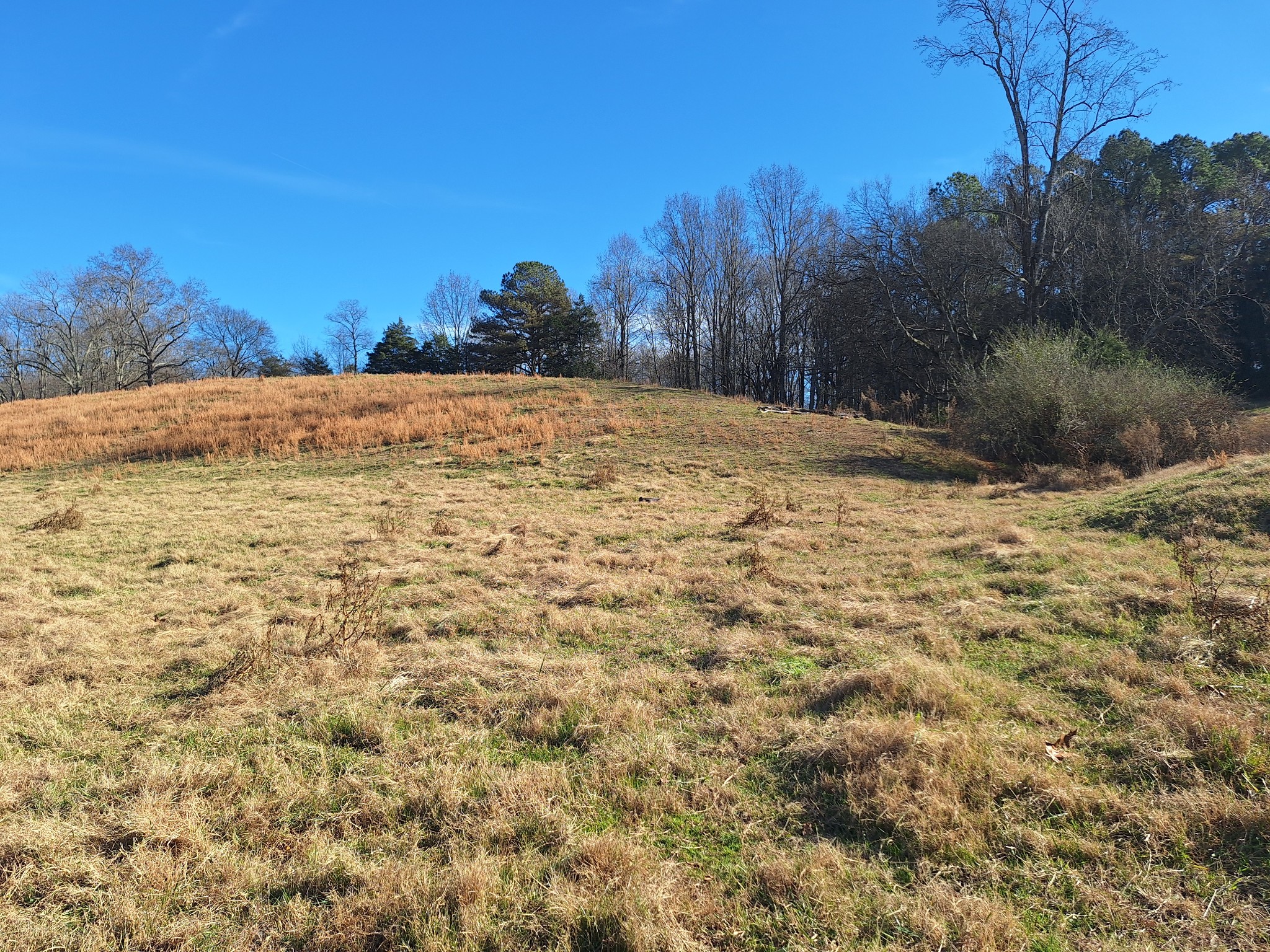 32 North Bradley Road Lawrenceburg, TN 38464 - Photo 90 of 93