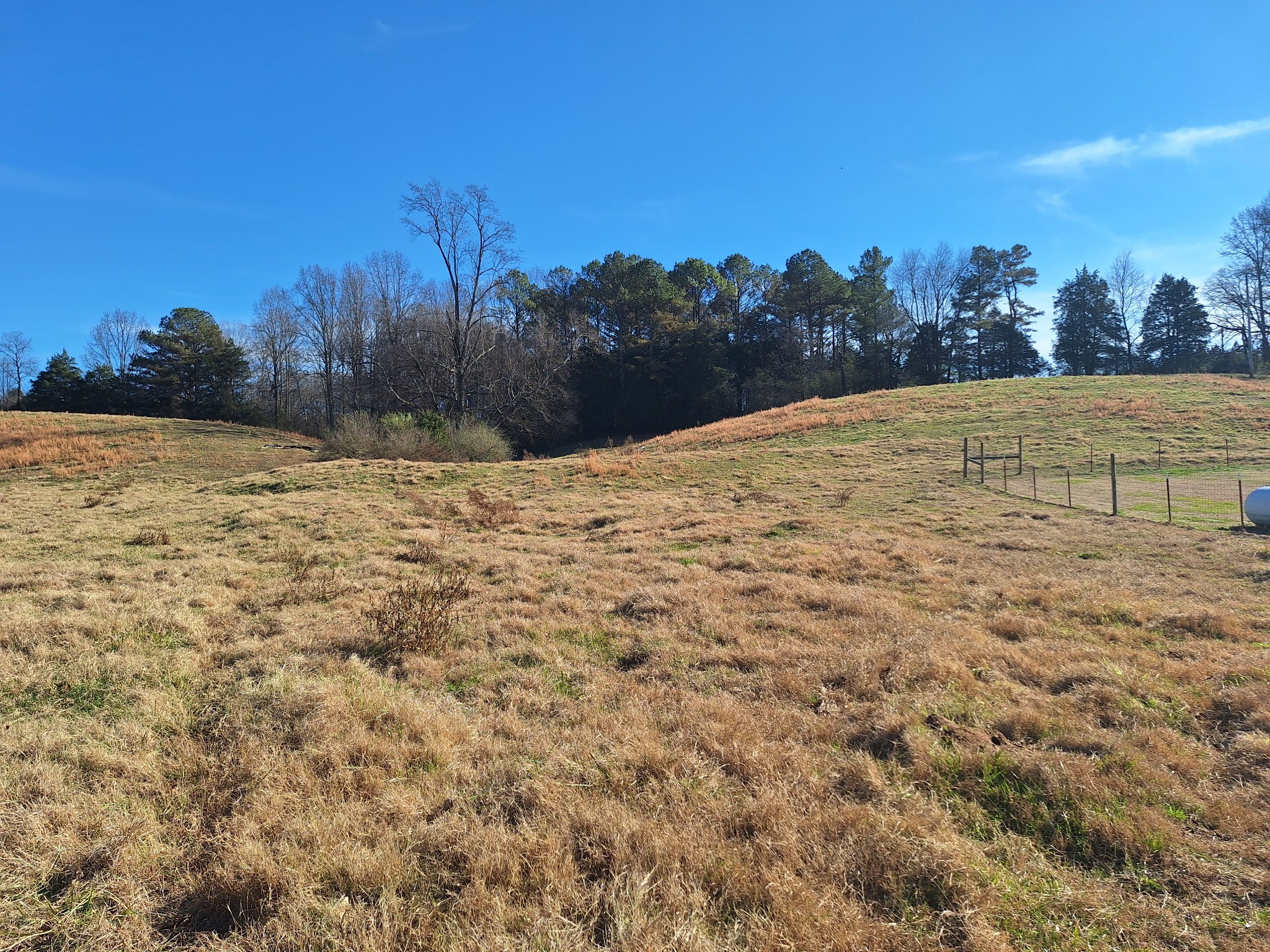 32 North Bradley Road Lawrenceburg, TN 38464 - Photo 92 of 93