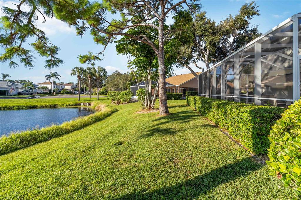 4223 Balmoral Way Sarasota, FL 34238 - Photo 48 of 72 a view of swimming pool with outdoor seating and trees in the background