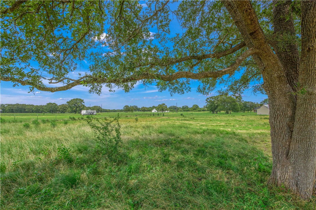 12889 Della Love Road Bryan, TX 77808 - Photo 5 of 8