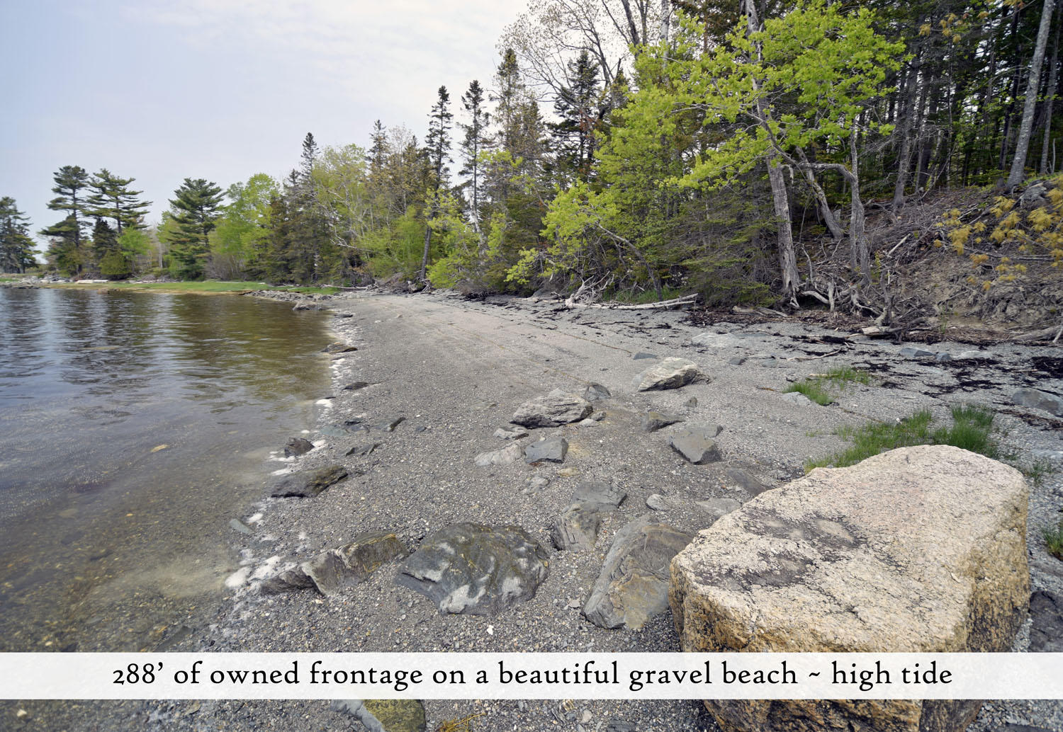 827 Bayside Road Ellsworth, ME 04605 - Photo 18 of 82 shore 7, label
