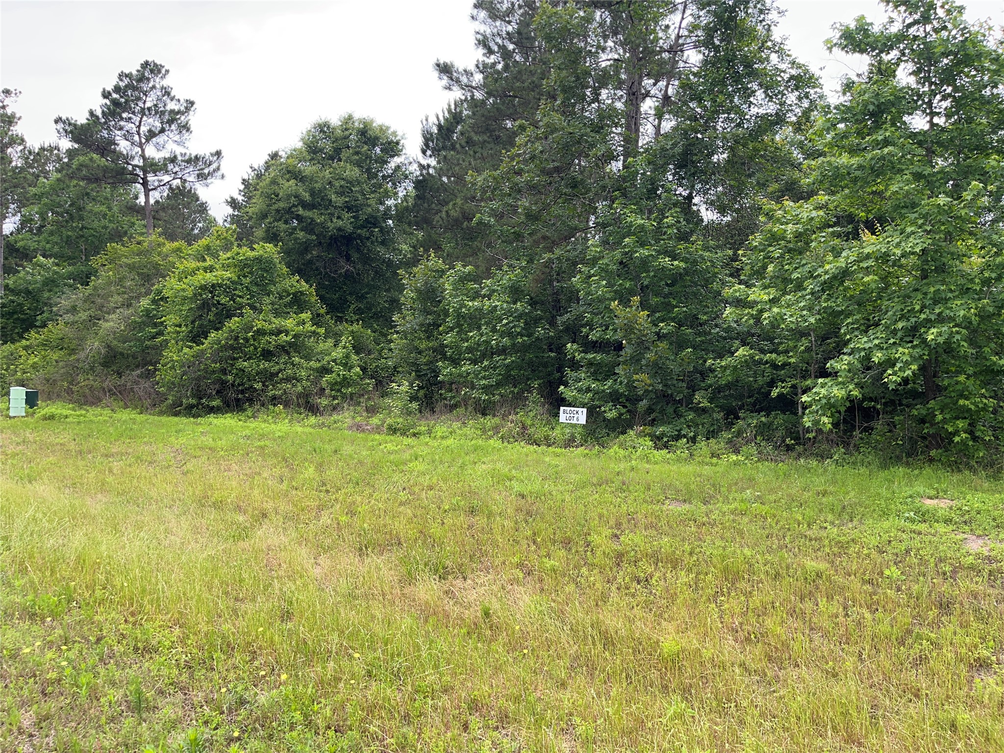 15841 Ridge Rock Road Willis, TX 77378 - Photo 7 of 9