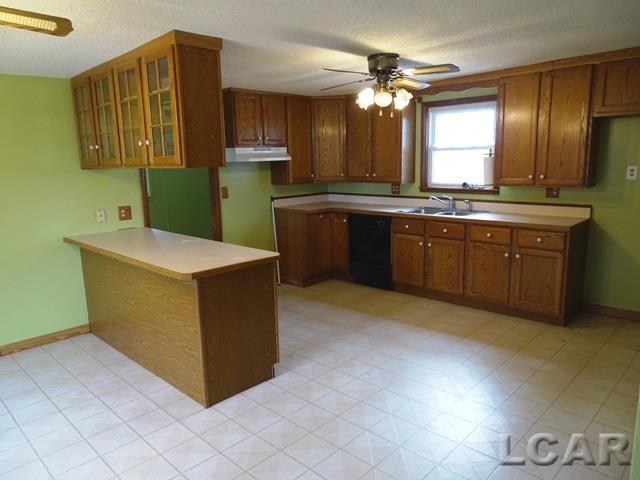 5357 West M 50 Road Tipton, MI 49287 - Photo 9 of 18