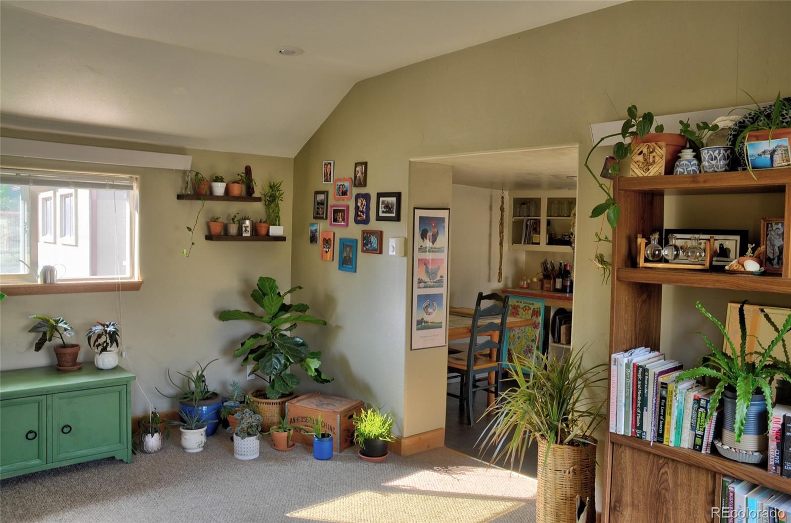 1406 G Street, Unit B Salida, CO 81201 - Photo 9 of 24 a room with furniture and flower pot