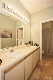 2322 Rutger Street, Unit A St. Louis, MO 63104 - Photo 14 of 23