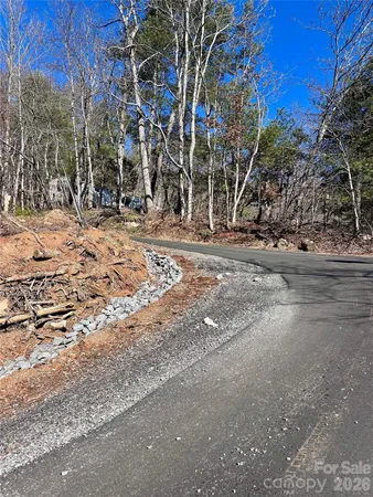 a view of road and trees