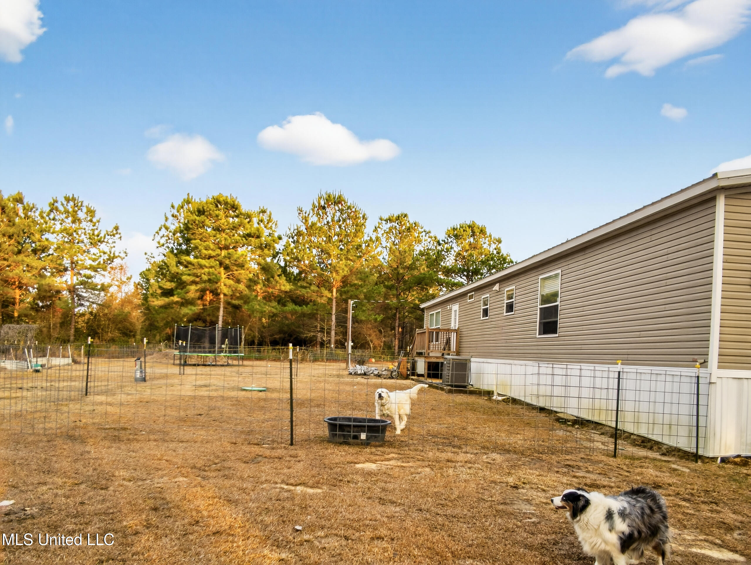 8900 Nannys Road Vancleave, MS 39565 - Photo 14 of 16 8900 Nannys Rd.