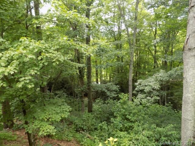 196 Huntley Road Fletcher, NC 28732 - Photo 22 of 24 Gallery Image 22