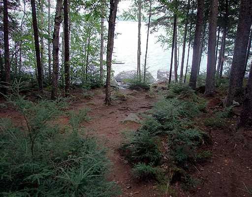 298 Sandy Beach Road Danforth, ME 04424 - Photo 9 of 19 Yard/Garden.