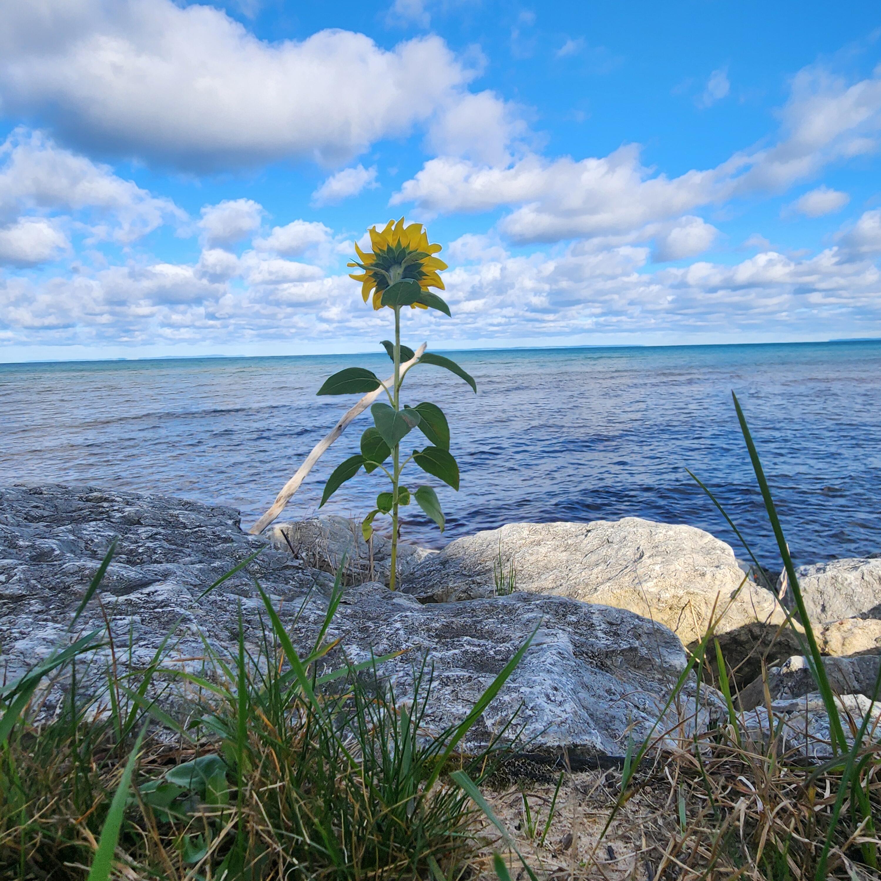 9746 North Whitefish Point Road Paradise, MI 49768 - Photo 27 of 64 Gallery Image 27
