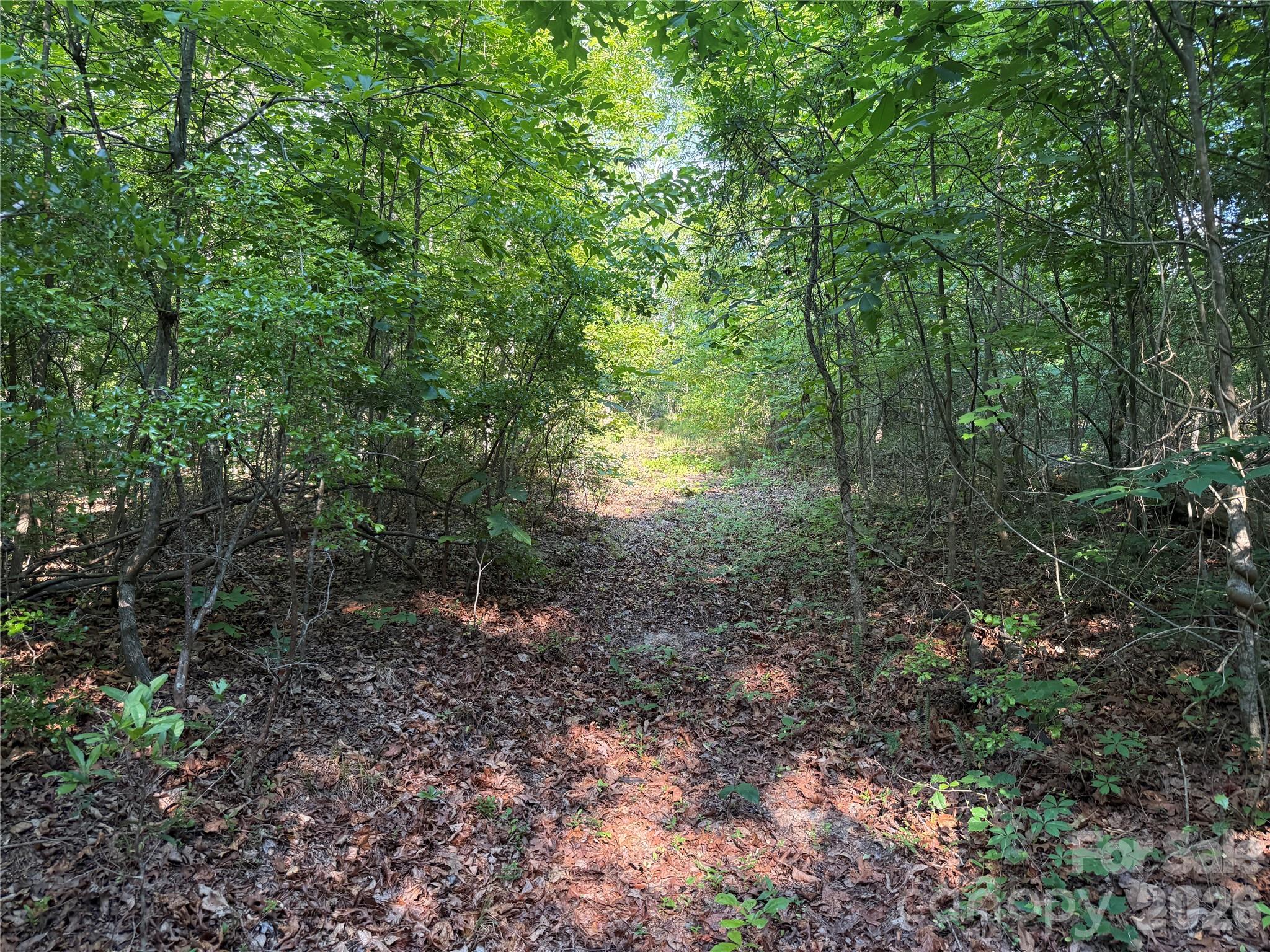 Tbd Murray Manor Lane Rockingham, NC 28379 - Photo 20 of 20