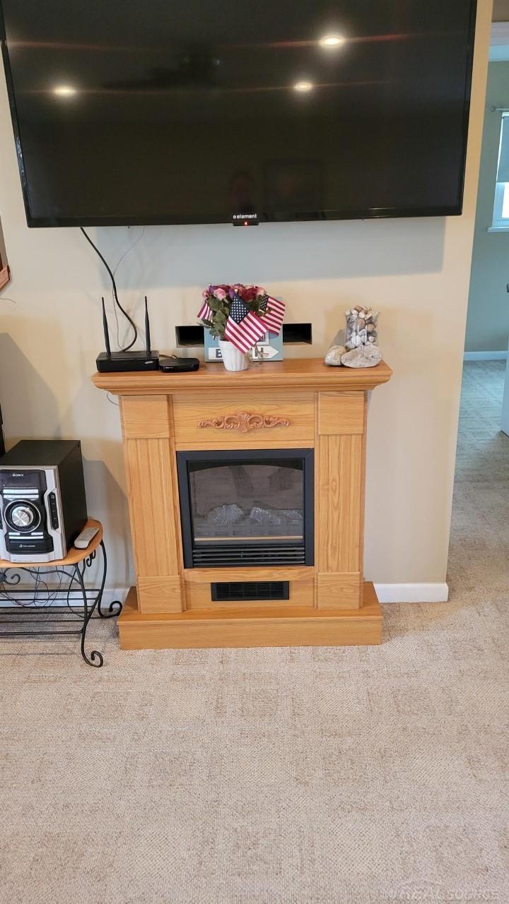 7447 Birchtree Road Lexington, MI 48450 - Photo 11 of 41 50105045-10.JPG