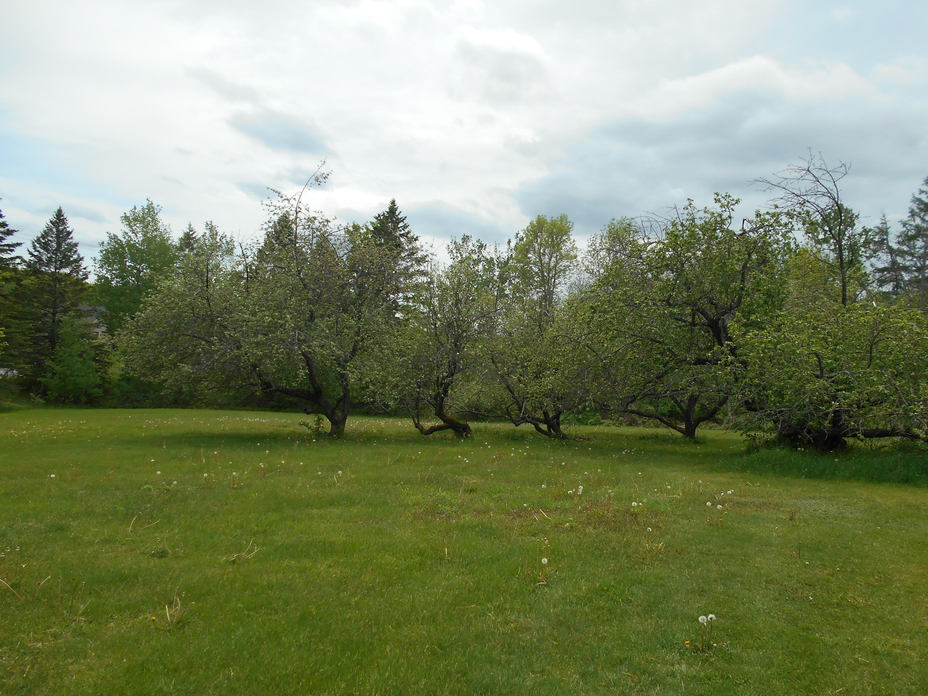 840 North Chester Road Lincoln, ME 04457 - Photo 17 of 68 DSCN7768