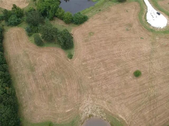 a view of a dry yard