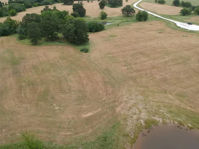 a view of a dry yard with plants