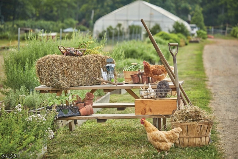43 Abby Road Peapack, NJ 07977 - Photo 23 of 25 a small garden in the back yard