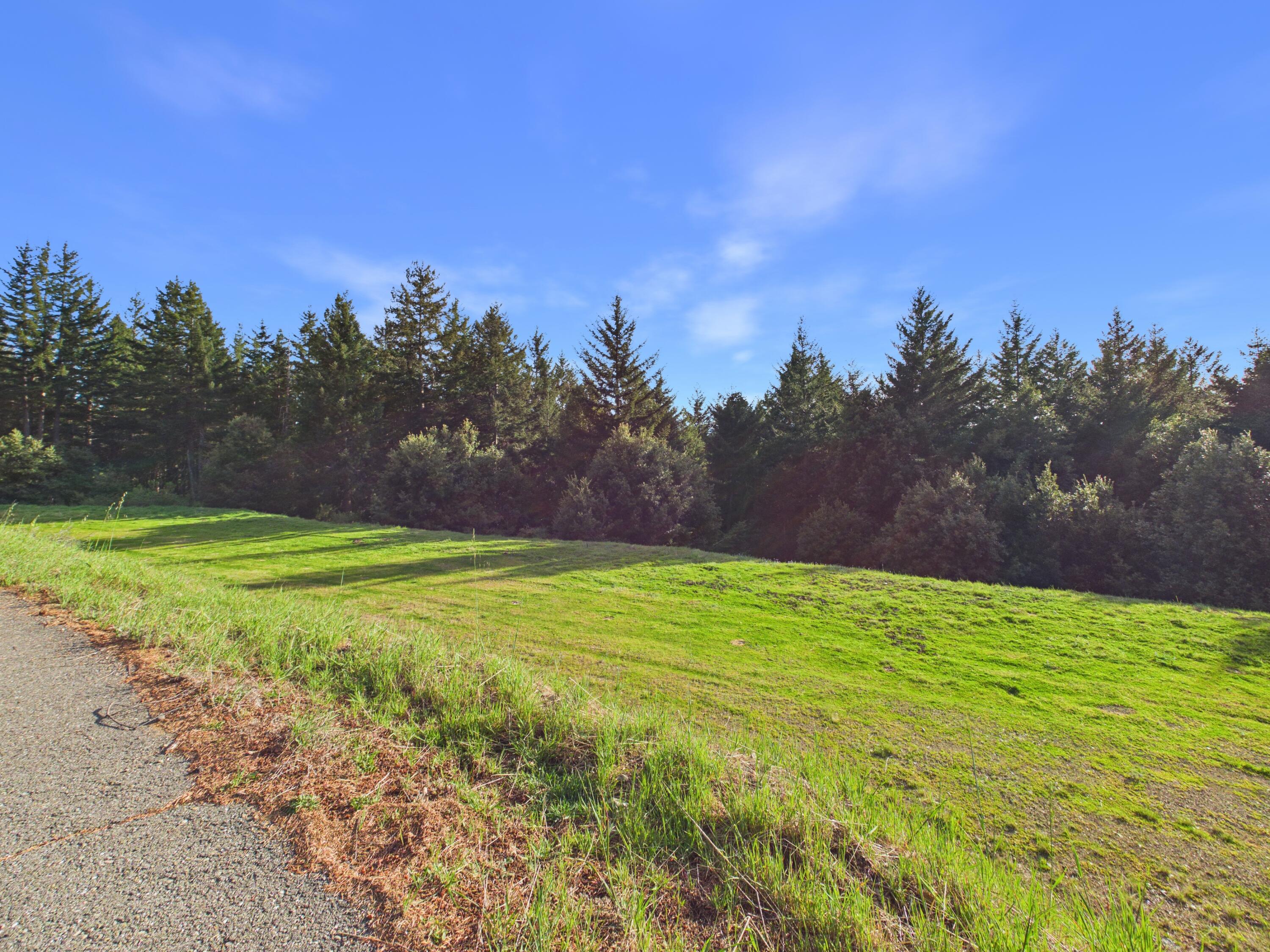 0 Fisher Road Petrolia, CA 95545 - Photo 83 of 96