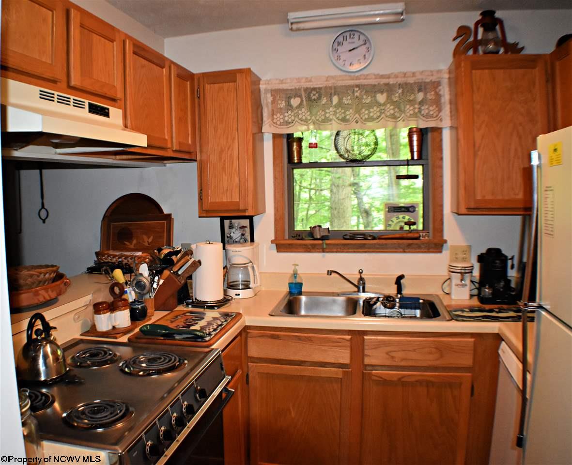 170 Cabin Mountain Road Davis, WV 26260 - Photo 3 of 20 Gallery Image 3