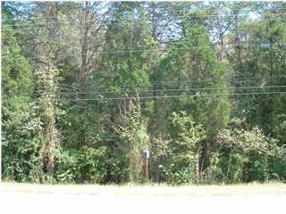 0 Hwy 11 Rising Fawn, GA 30738 - Photo 1 of 1 Primary Photo