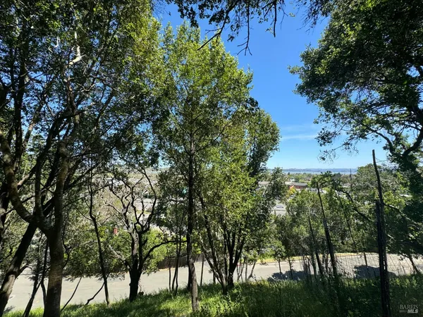 a view of a city with lush green forest
