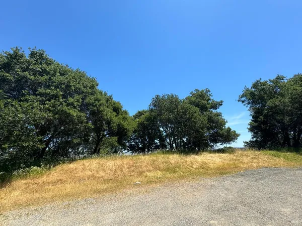 a view of yard and mountain view in back