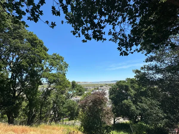 a view of backyard with garden and trees