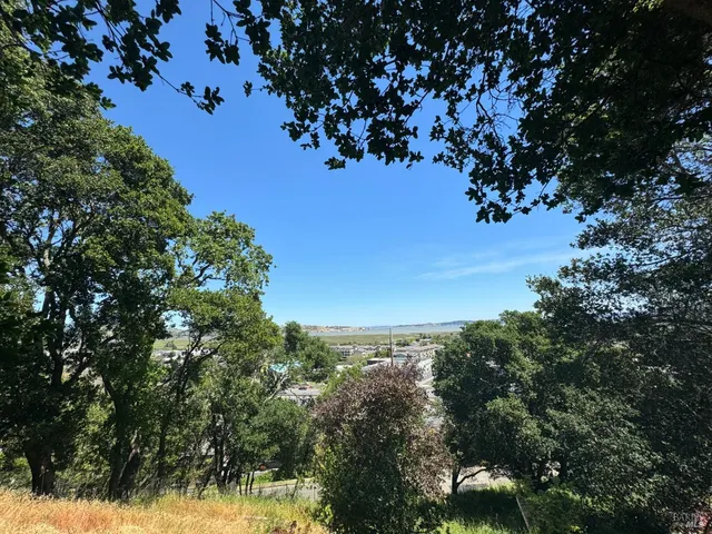 a view of backyard with garden and trees