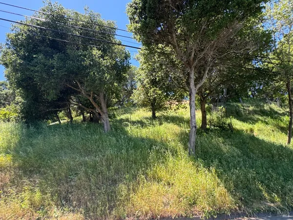 a backyard of a house with swimming pool and tree s