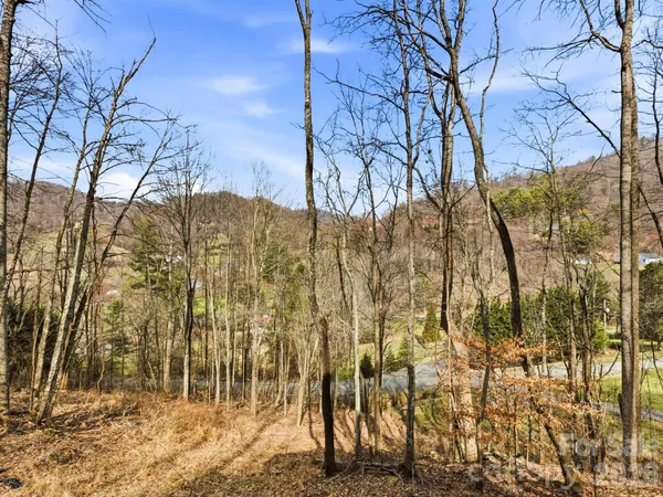 a view of a yard with mountains