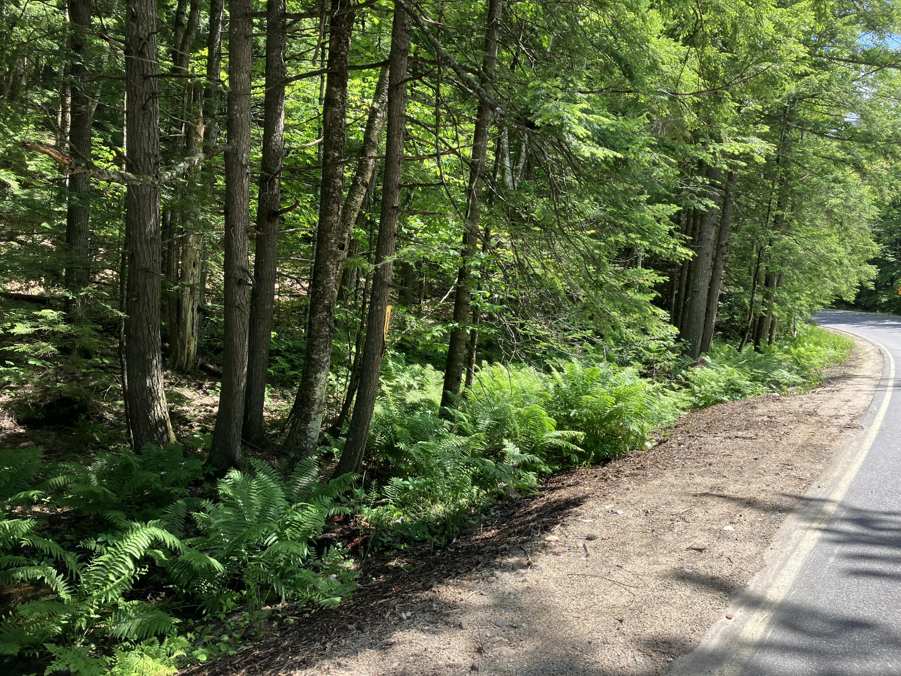 0 Bull Ring Rd photo