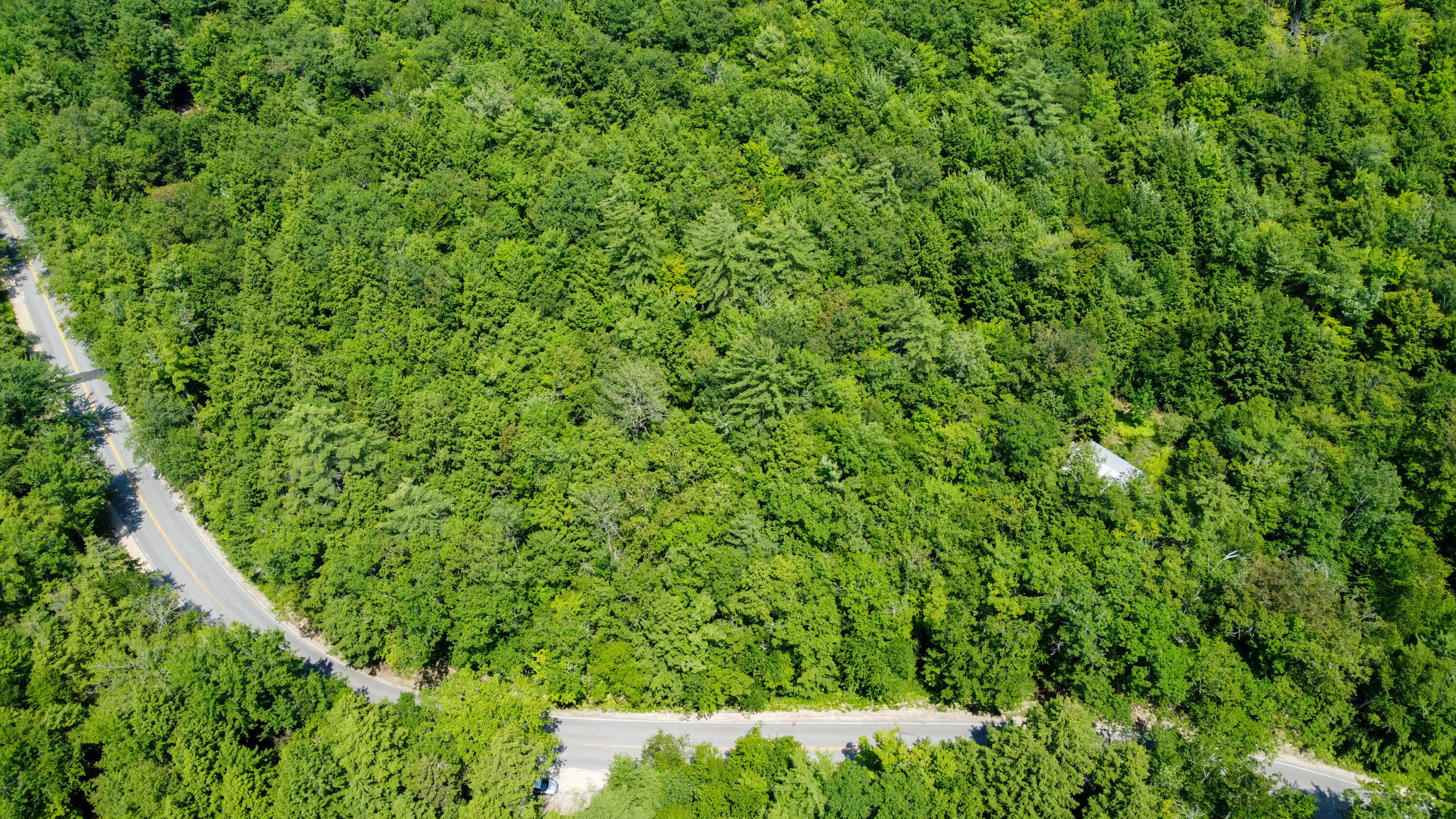 0 Bull Ring Road Hiram, ME 04041 - Photo 2 of 8 DJI_0891