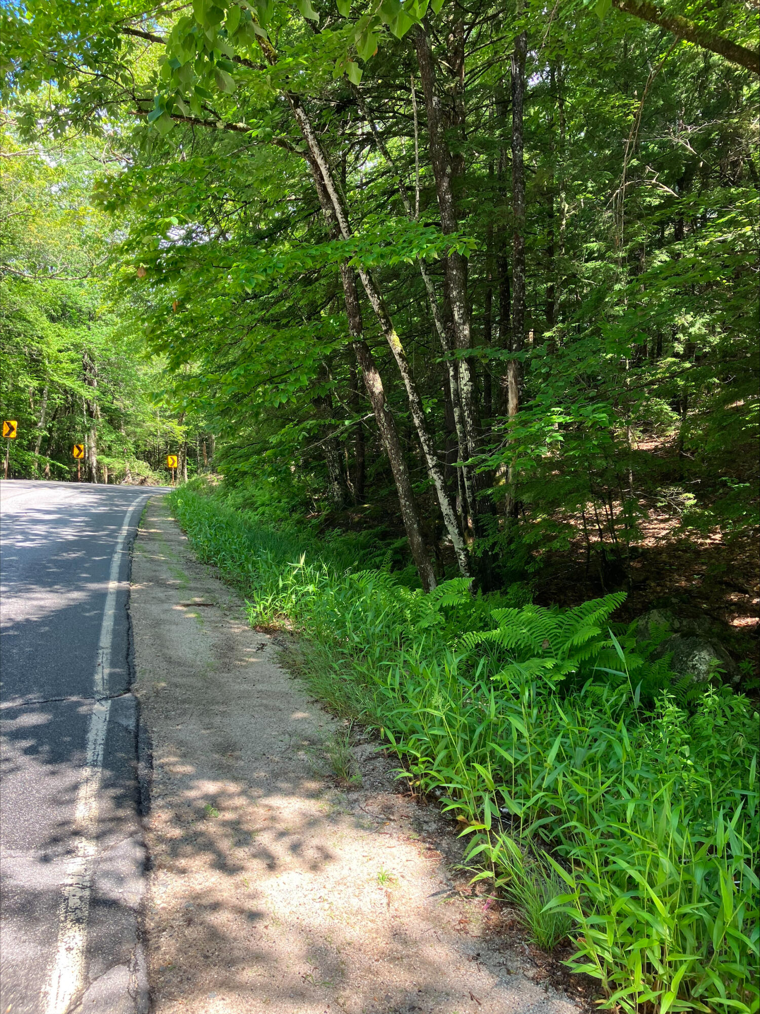 0 Bull Ring Road Hiram, ME 04041 - Photo 3 of 8 bull ring photo 4