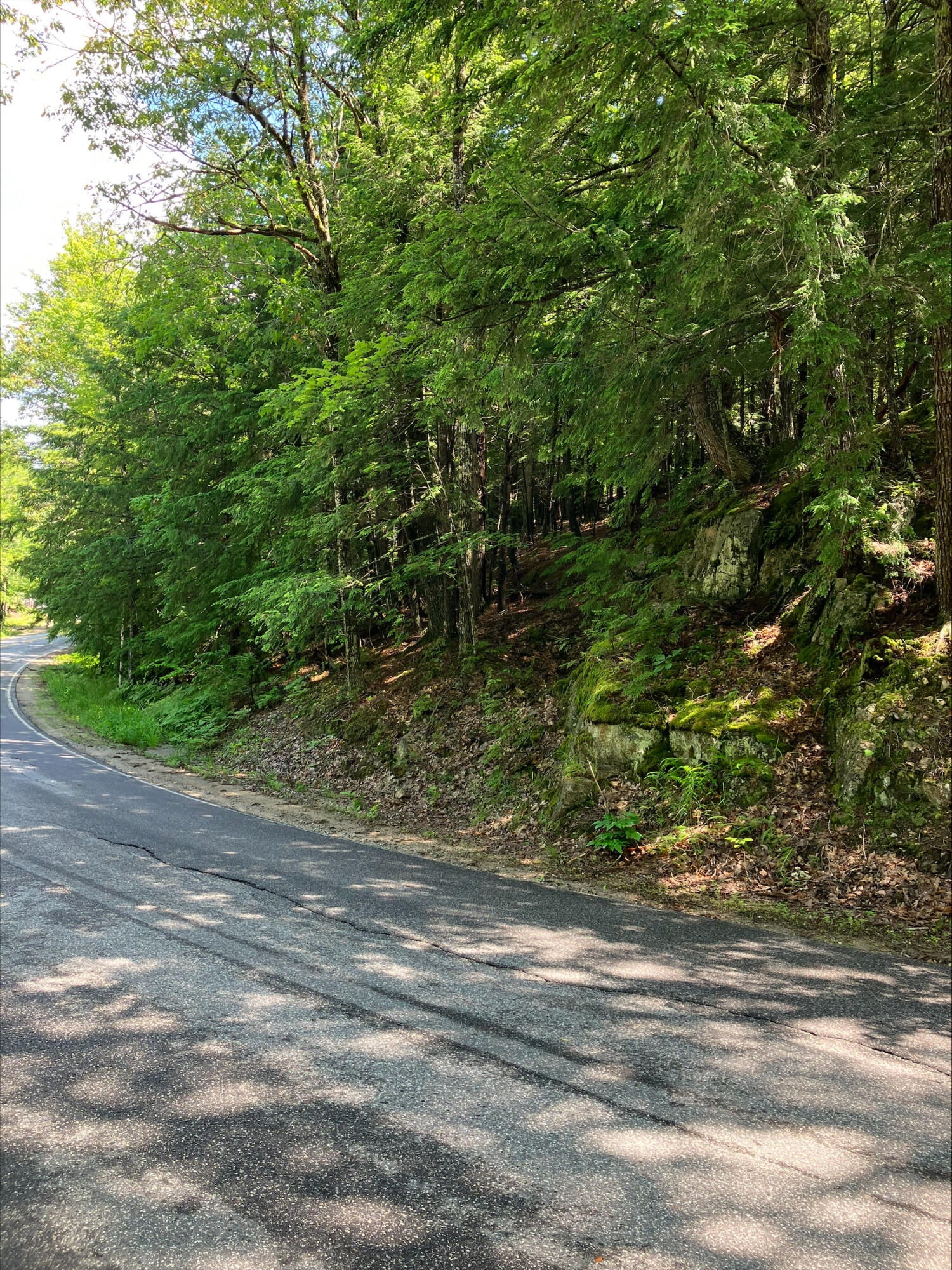 0 Bull Ring Road Hiram, ME 04041 - Photo 4 of 8 bull ring photo 3