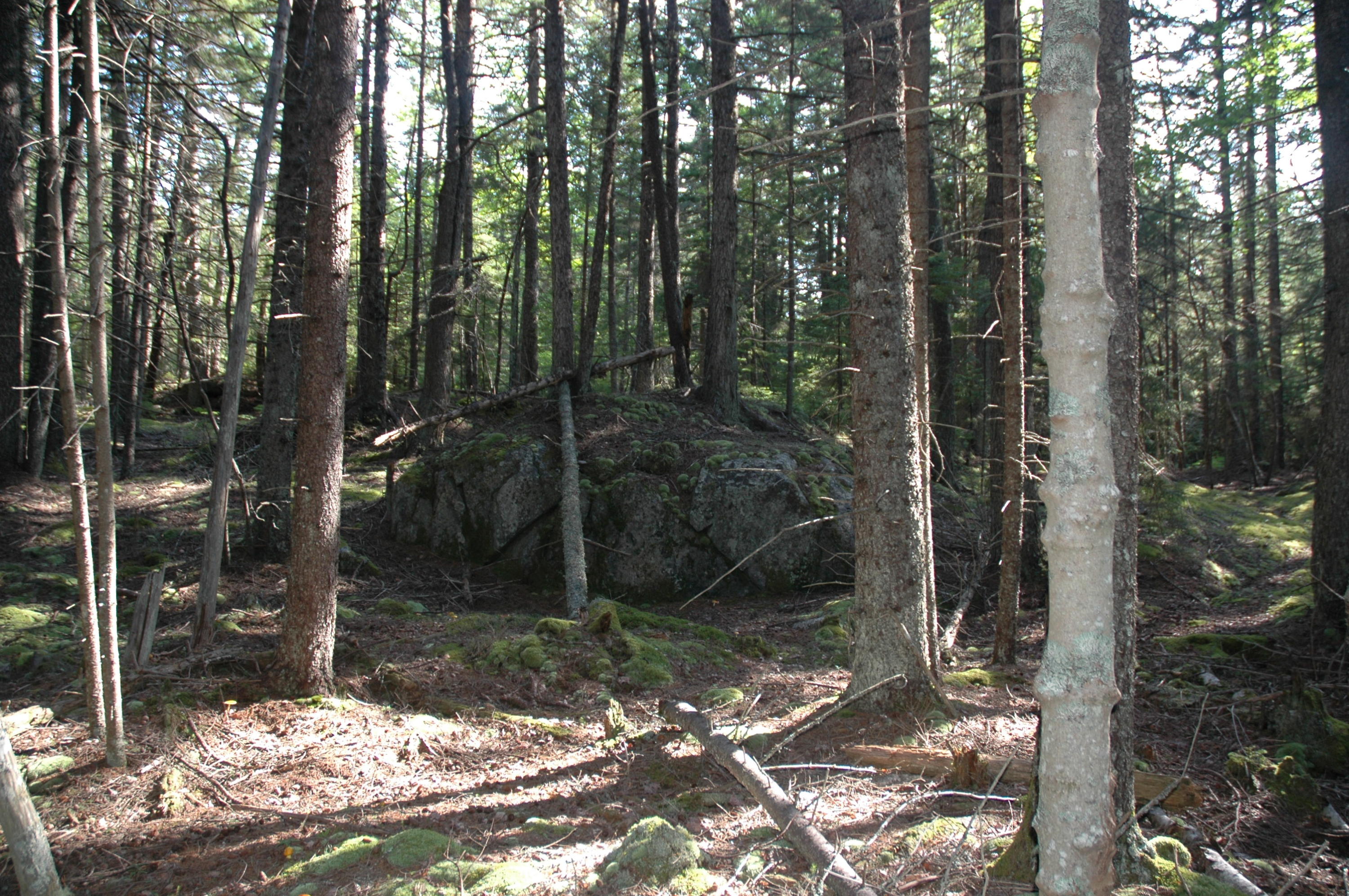 0 Harding Road Cranberry Isles, ME 04625 - Photo 1 of 7 erratictree