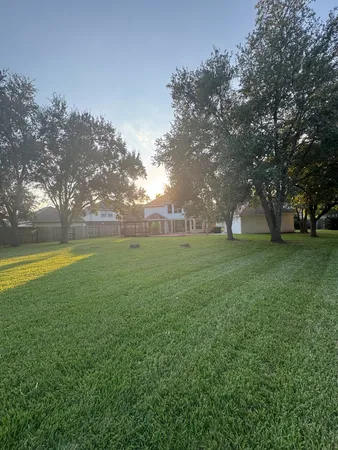 a view of a field of grass and trees