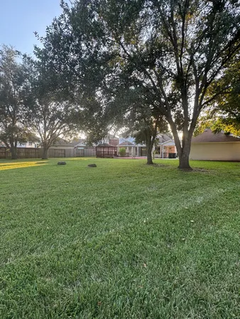 a view of a field with large trees