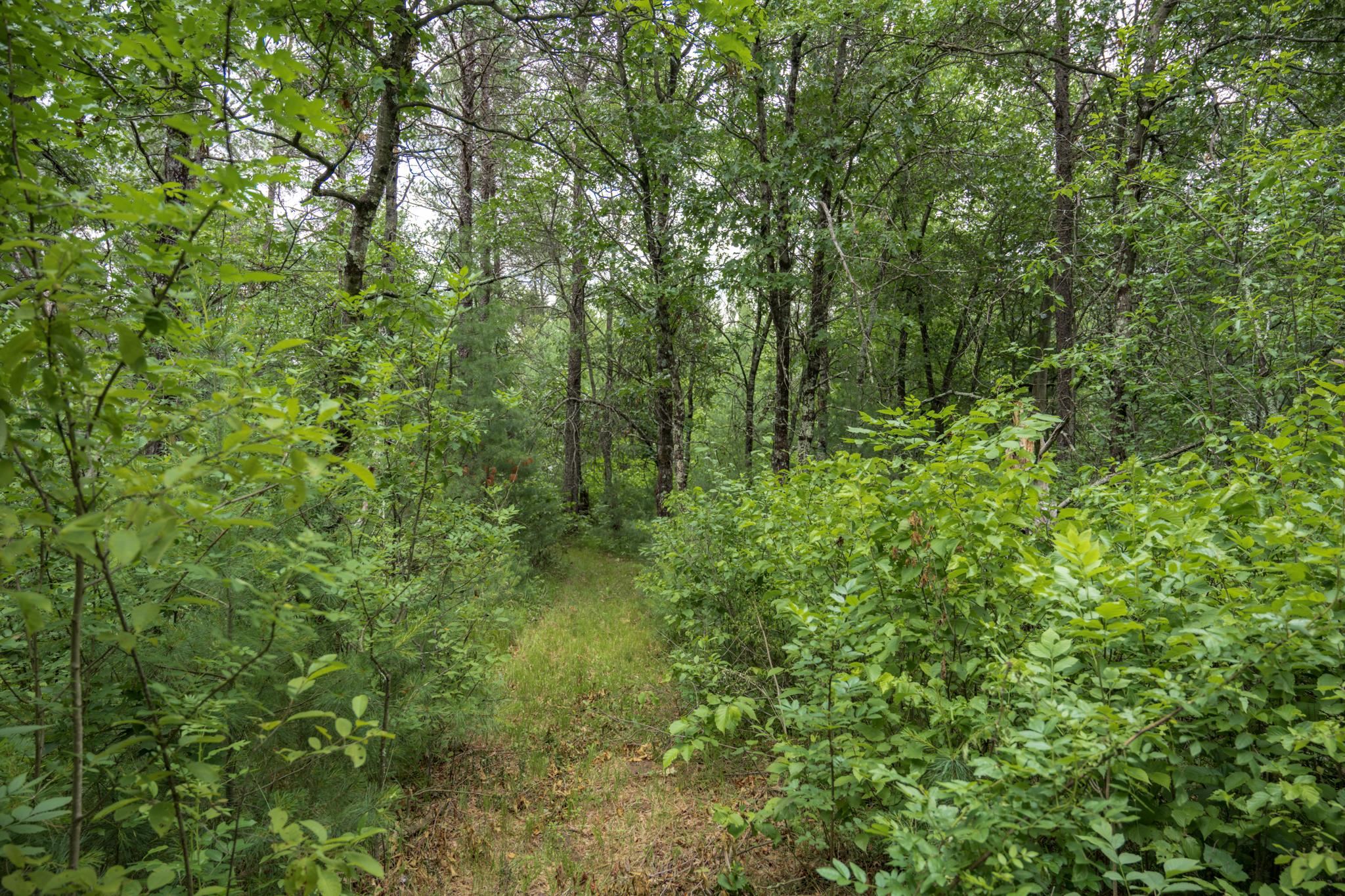 907 West Trout Valley Road Hancock, WI 54943 - Photo 27 of 48
