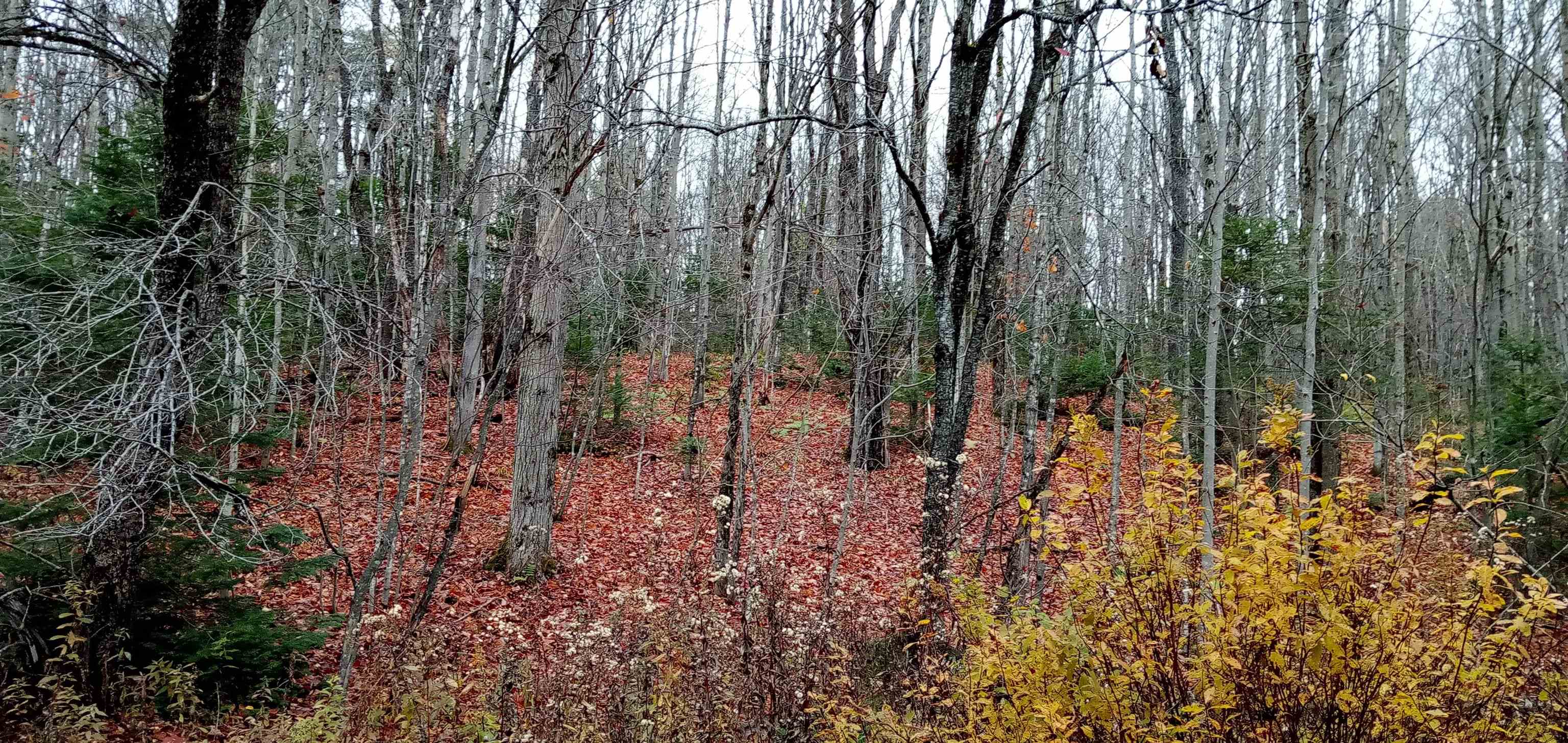 0 Square Road, Unit LOT B Eden, VT 05653 - Photo 1 of 2