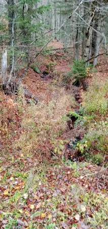 $62,500 | 0 Square Road, Unit LOT B, Eden, VT 05653