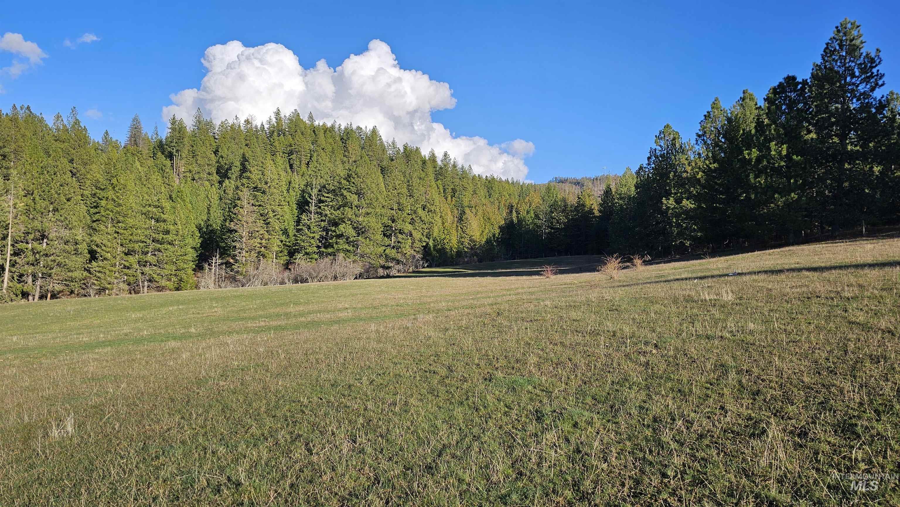 1080 Mason Butte Road Kendrick, ID 83537 - Photo 3 of 50