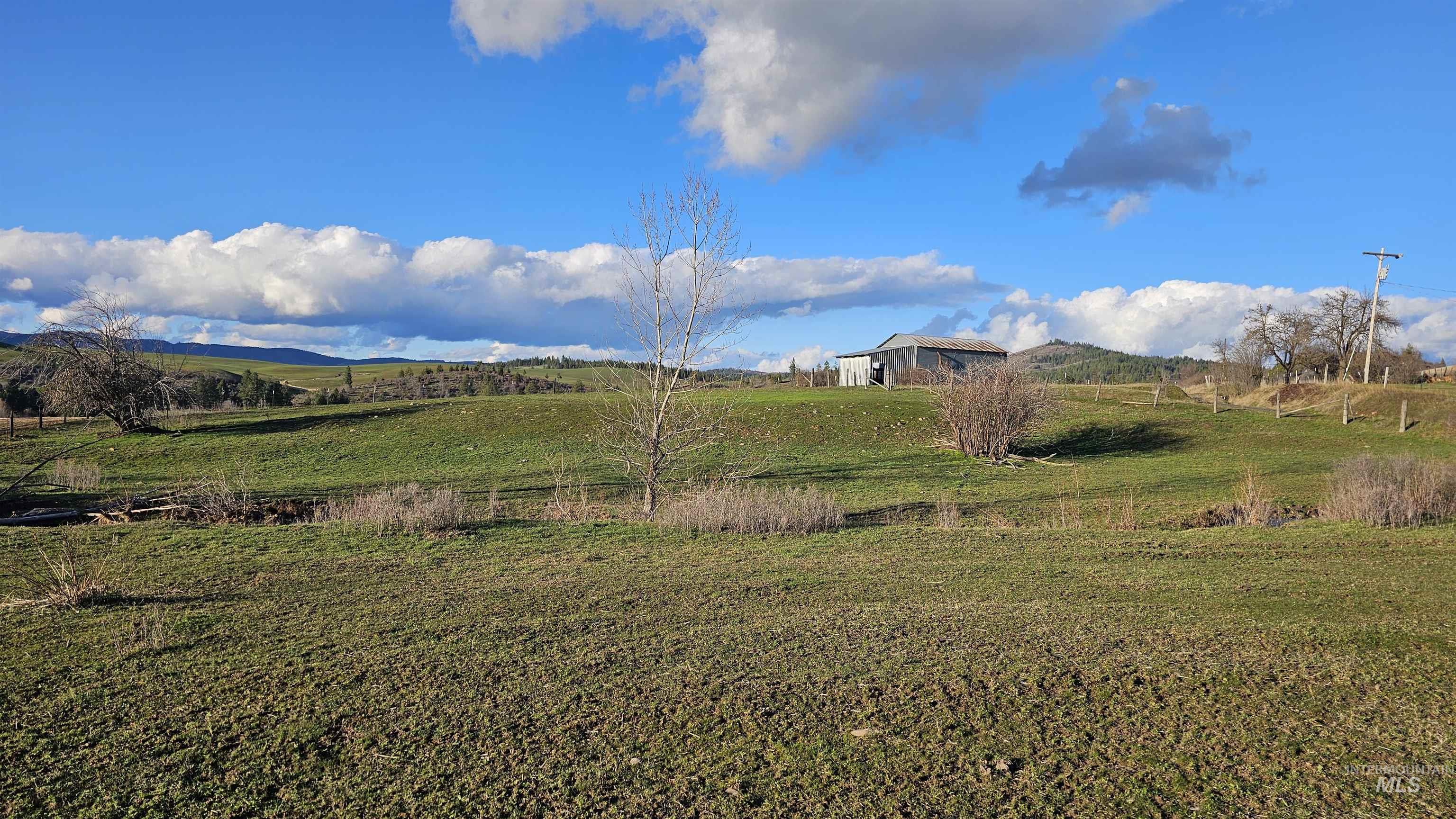 1080 Mason Butte Road Kendrick, ID 83537 - Photo 34 of 50